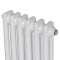 Вертикальний дизайнерський радіатор опалення ARTTIDESIGN Bari II 6/1800/290/50 білий матовий