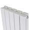 Вертикальний дизайнерський радіатор опалення ARTTIDESIGN Terni II 5/1800/295/50 білий матовий