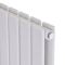 Вертикальний дизайнерський радіатор опалення ARTTIDESIGN Livorno II 6/1600/408/50 білий матовий